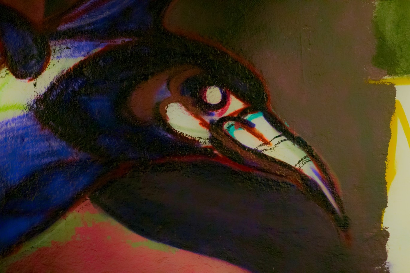 David Bugeja (c) 2013