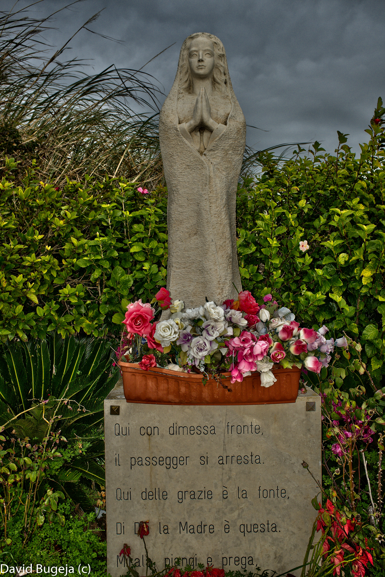 lastdaysicily2016jan4resized2final