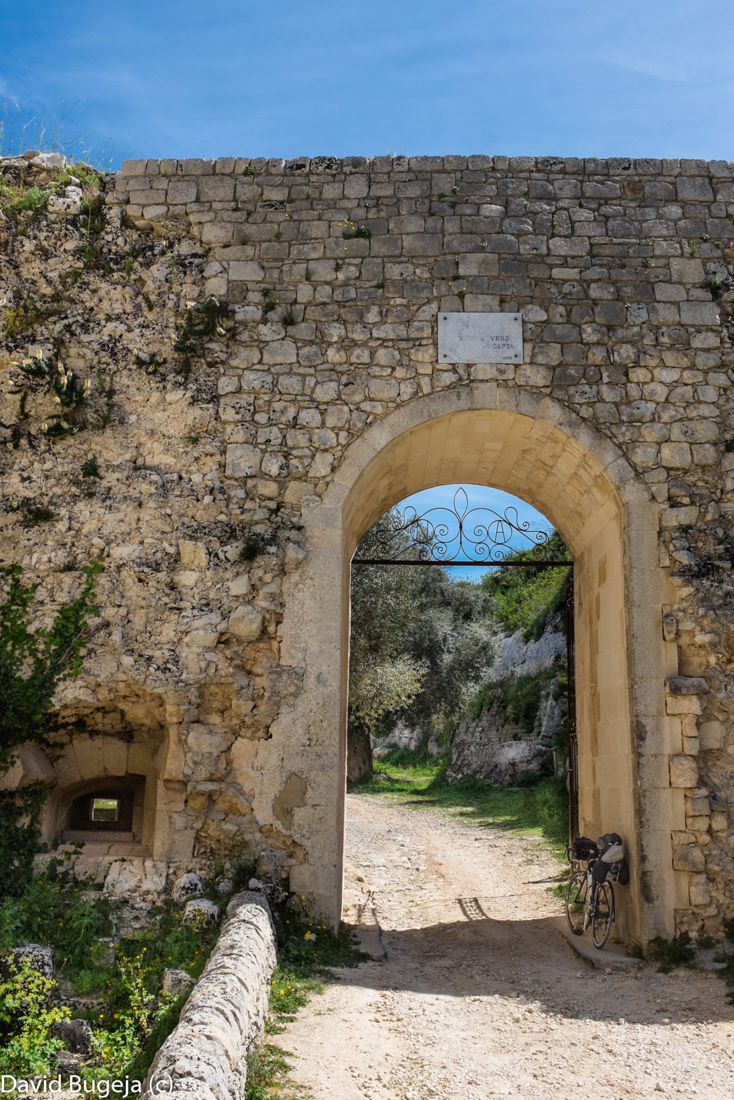 Day7davideaster2016c