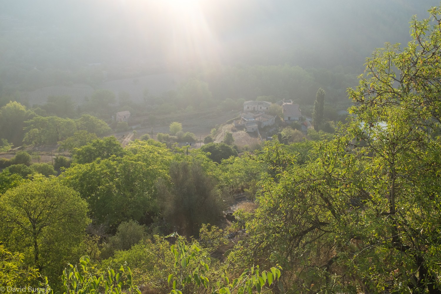 bariferrandinafinal-4