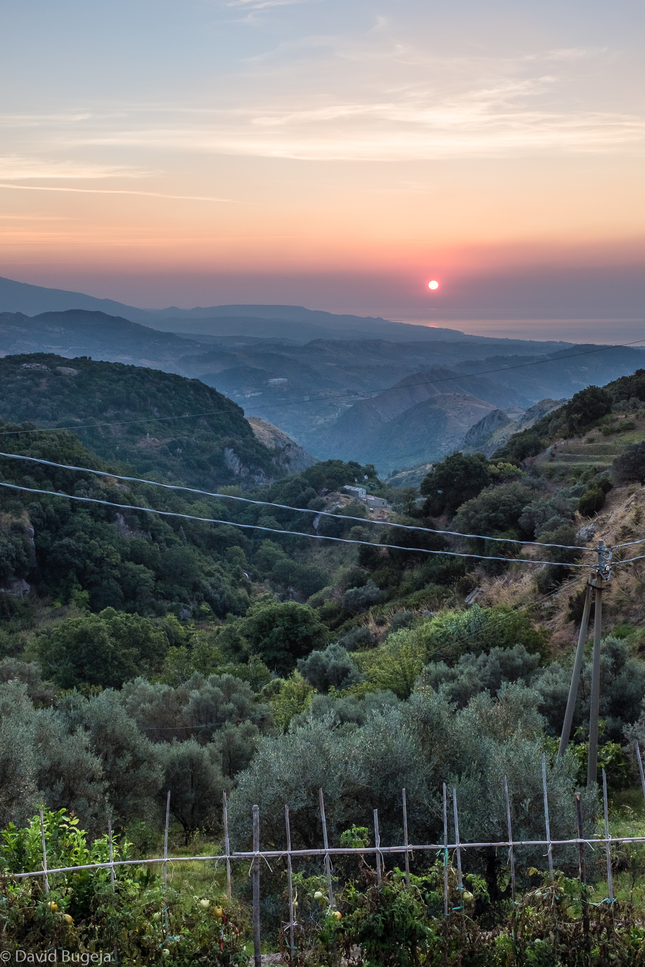 bariferrandinafinal-5