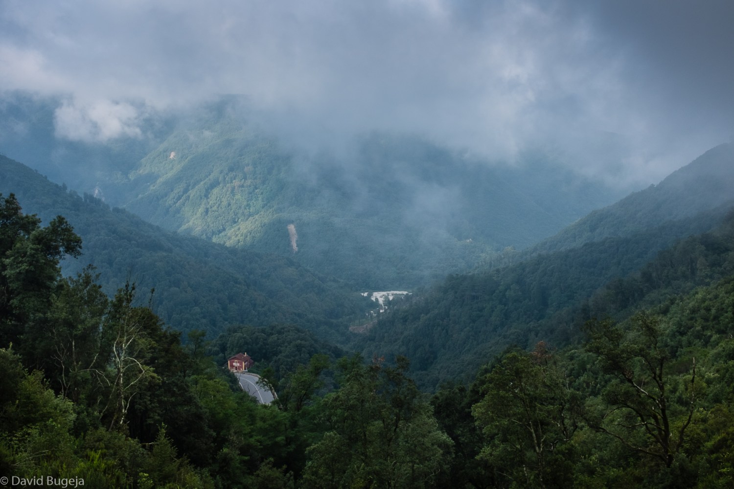 bariferrandinafinal-6